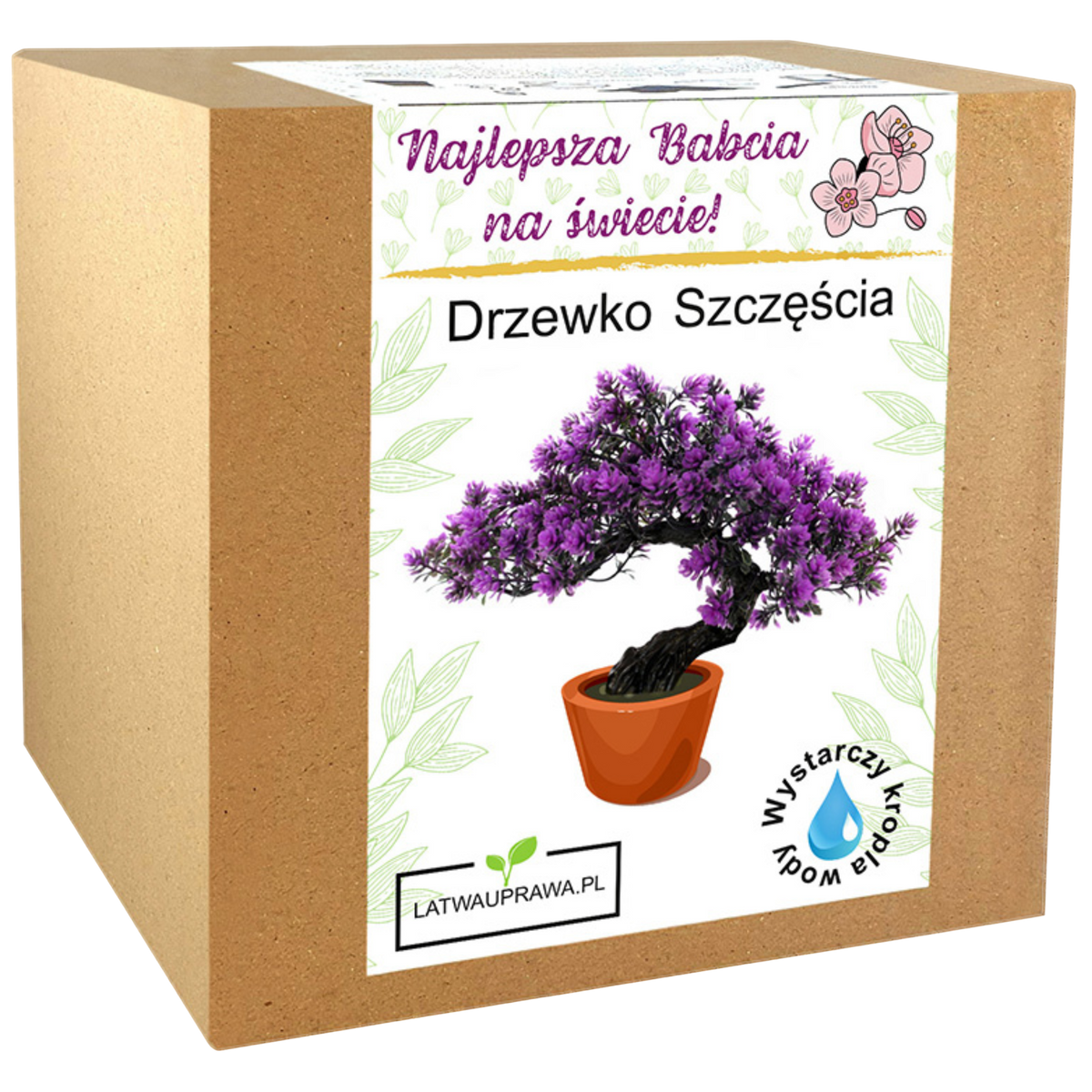 Zestaw do uprawy drzewka szczęścia – piękny prezent dla najlepszej babci.