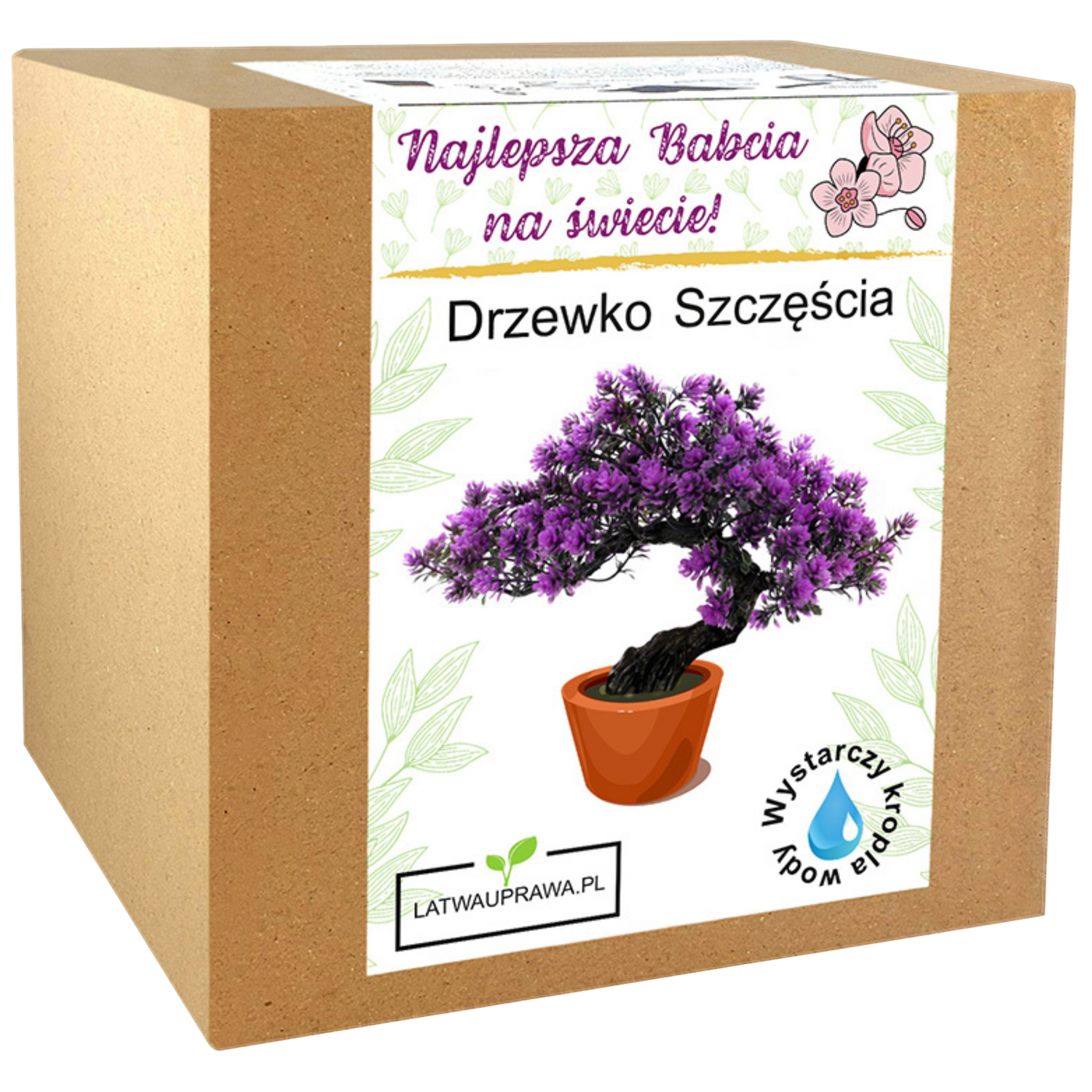 Zestaw do uprawy drzewka szczęścia – piękny prezent dla najlepszej babci.