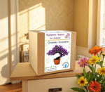 Zestaw Drzewko Szczęścia – prezent dla babci, piękna roślina do domu.