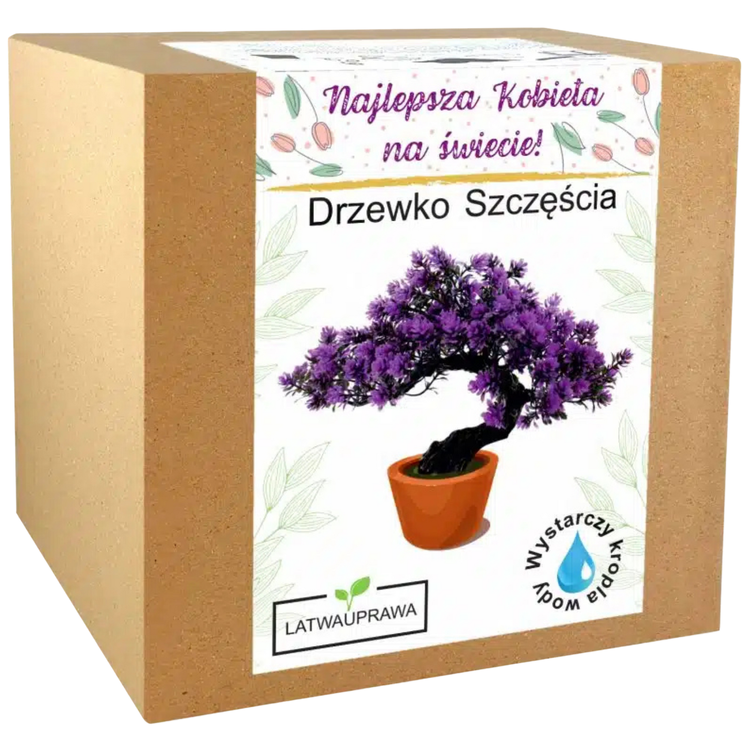 Zestaw do uprawy drzewka szczęścia – wyjątkowy prezent dla najlepszej kobiety.