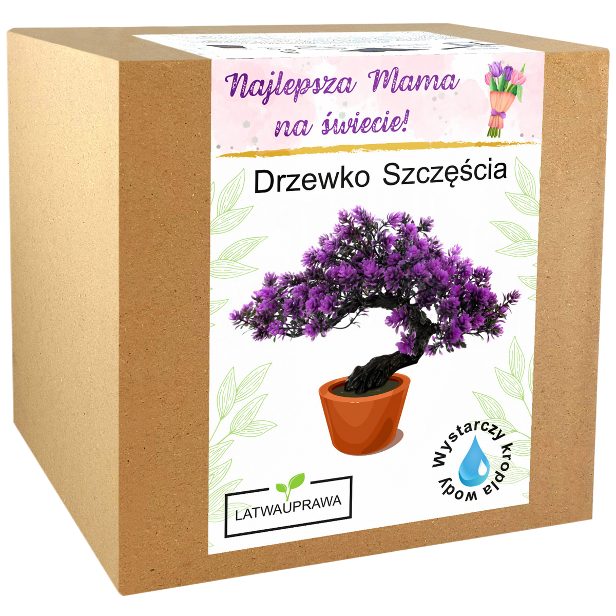 Zestaw do uprawy Drzewka Szczęścia – wyjątkowy pomysł na prezent dla mamy.