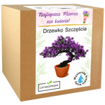 Zestaw do uprawy Drzewka Szczęścia – wyjątkowy pomysł na prezent dla mamy.