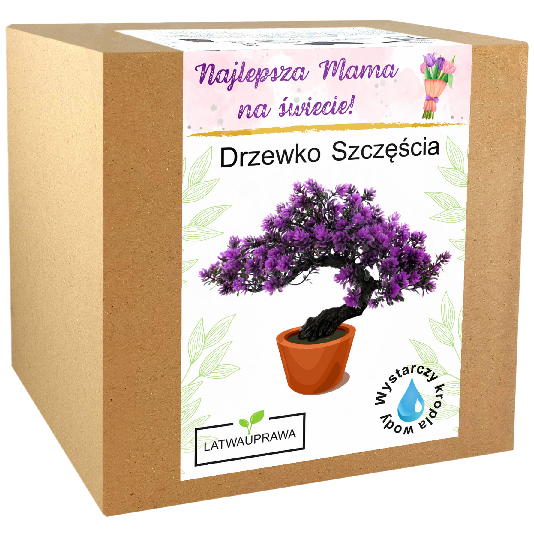 Zestaw do uprawy Drzewka Szczęścia – wyjątkowy pomysł na prezent dla mamy.