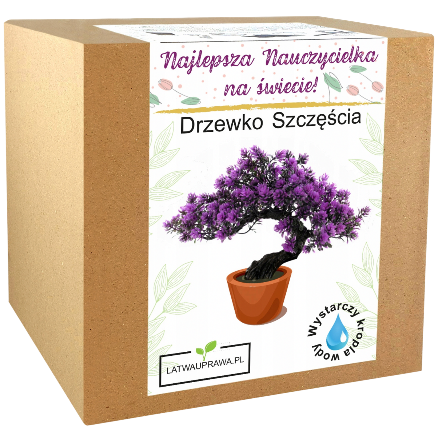 Zestaw do uprawy drzewka szczęścia – idealny prezent dla najlepszej nauczycielki.