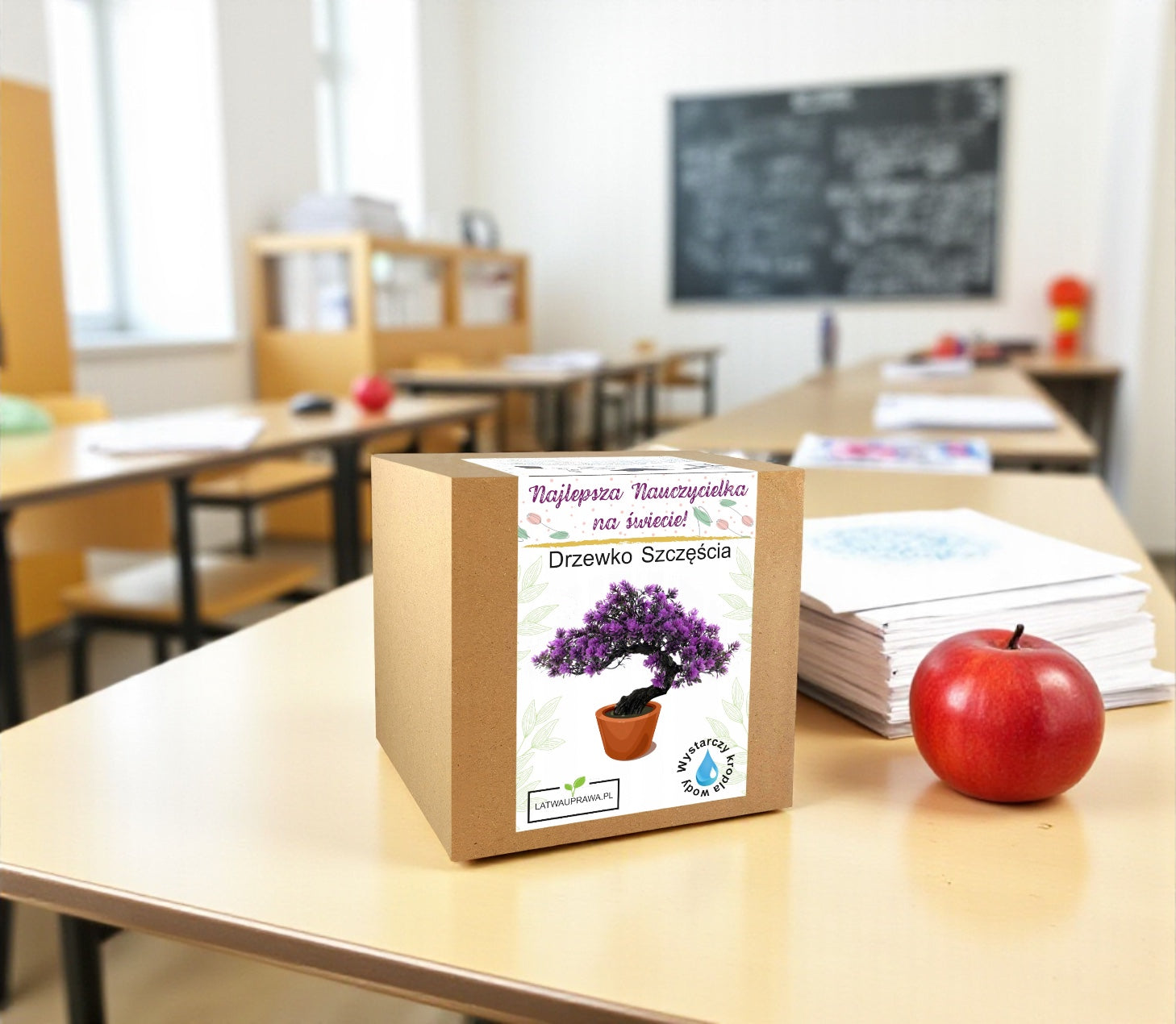 Zestaw do uprawy Drzewka Szczęścia w pudełku prezentowym dla nauczycielki, idealny prezent na zakończenie roku szkolnego