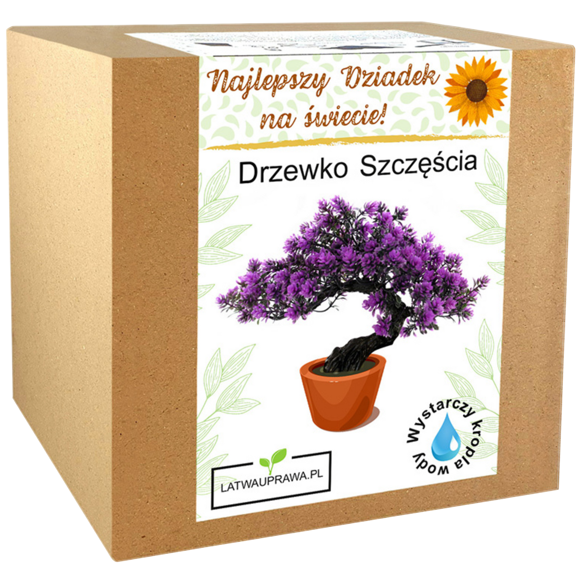 Zestaw do uprawy drzewka szczęścia – oryginalny prezent dla najlepszego dziadka.