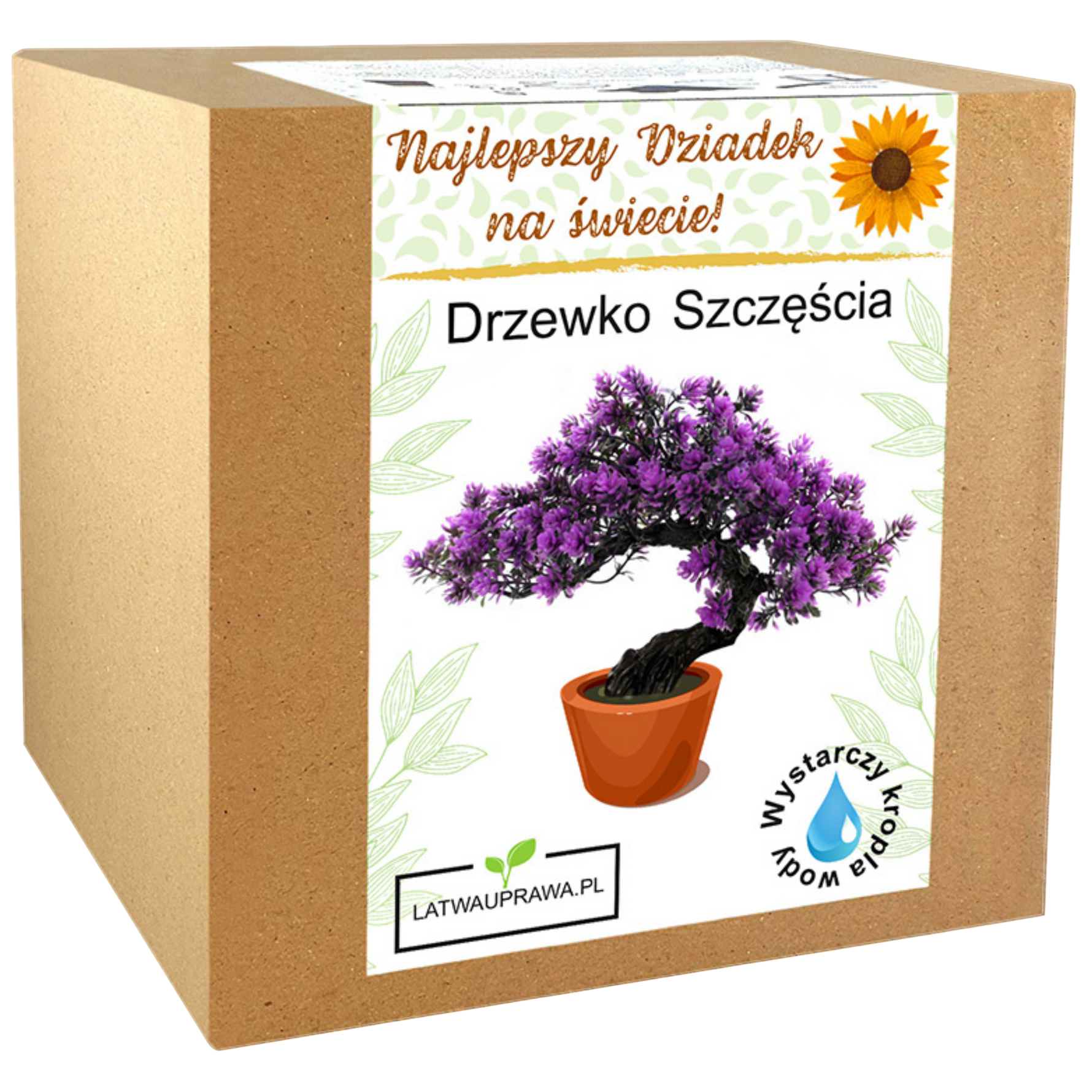 Zestaw do uprawy drzewka szczęścia – oryginalny prezent dla najlepszego dziadka.