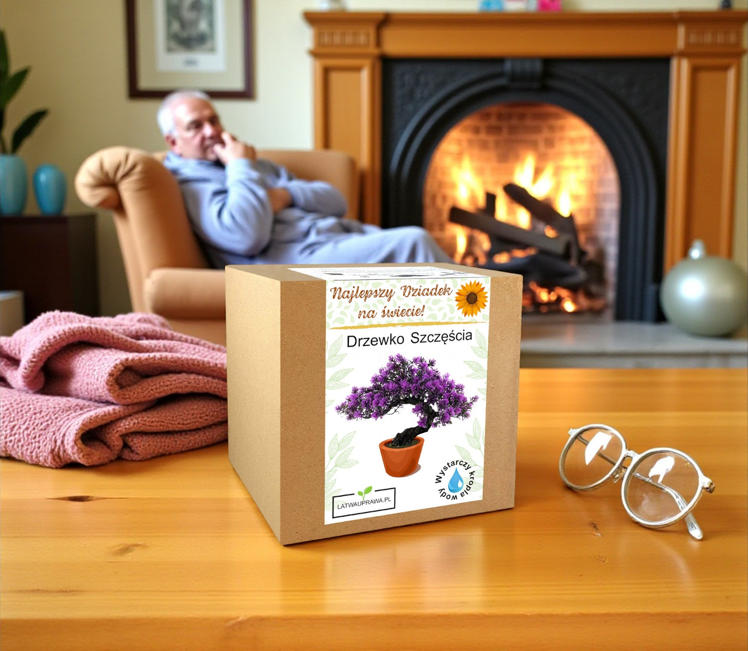 Zestaw Drzewko Szczęścia – prezent dla dziadka, elegancka roślina doniczkowa.