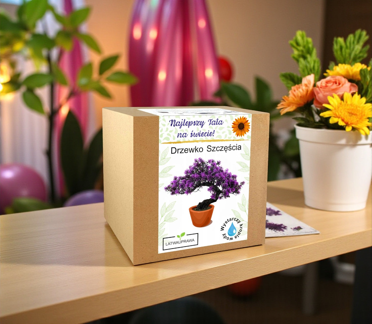 Zestaw Drzewko Szczęścia – prezent dla taty, uprawa bonsai w domu.