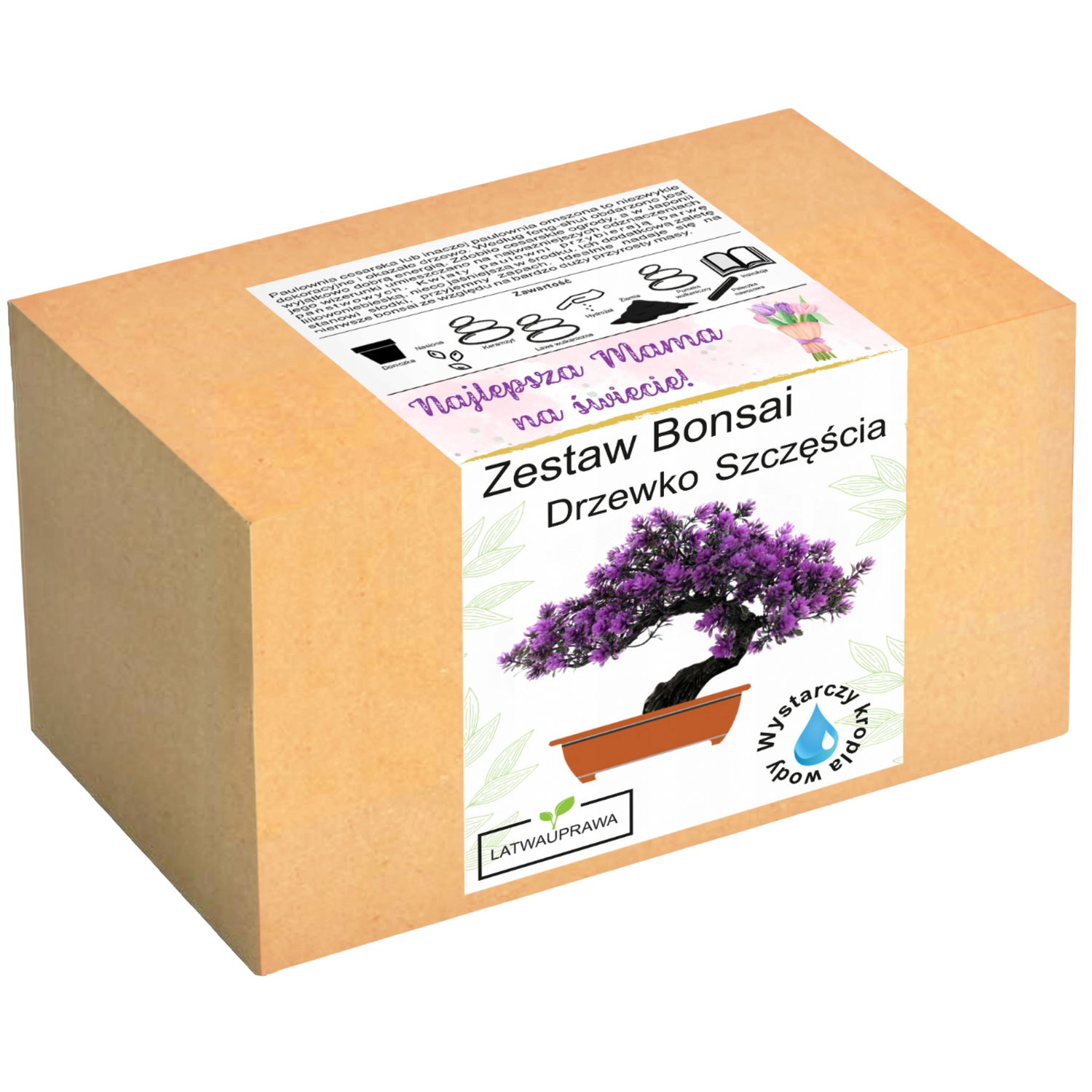 Zestaw do uprawy Bonsai – Drzewko Szczęścia w pudełku z napisem „Najlepsza Mama na świecie”, idealny prezent dla mamy.