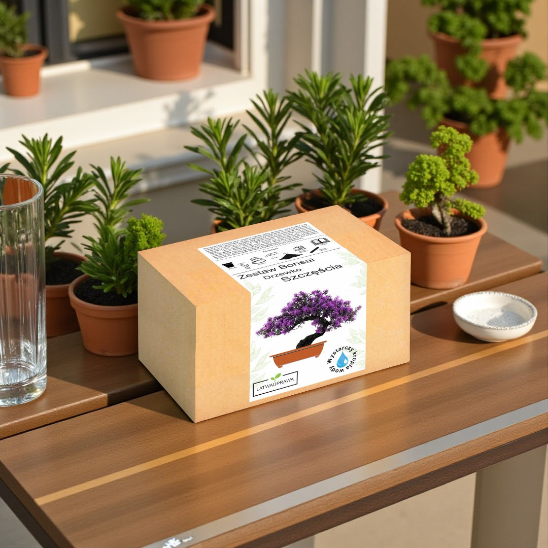 Zestaw Bonsai Drzewko Szczęścia ustawiony na drewnianym stole wśród doniczek z roślinami — komplet do samodzielnej uprawy w estetycznym, naturalnym otoczeniu