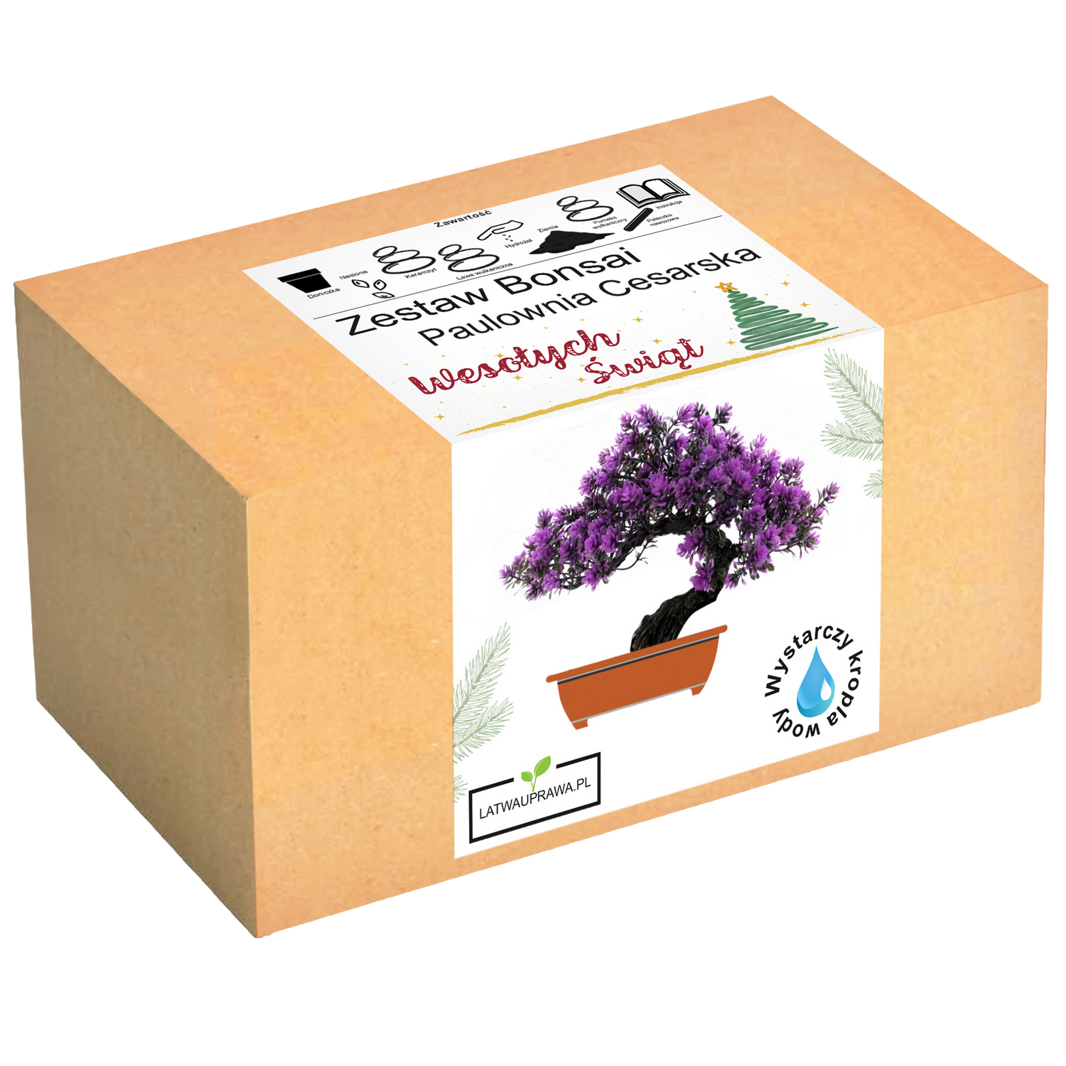 Drzewko Szczęścia - Zestaw Bonsai Święta