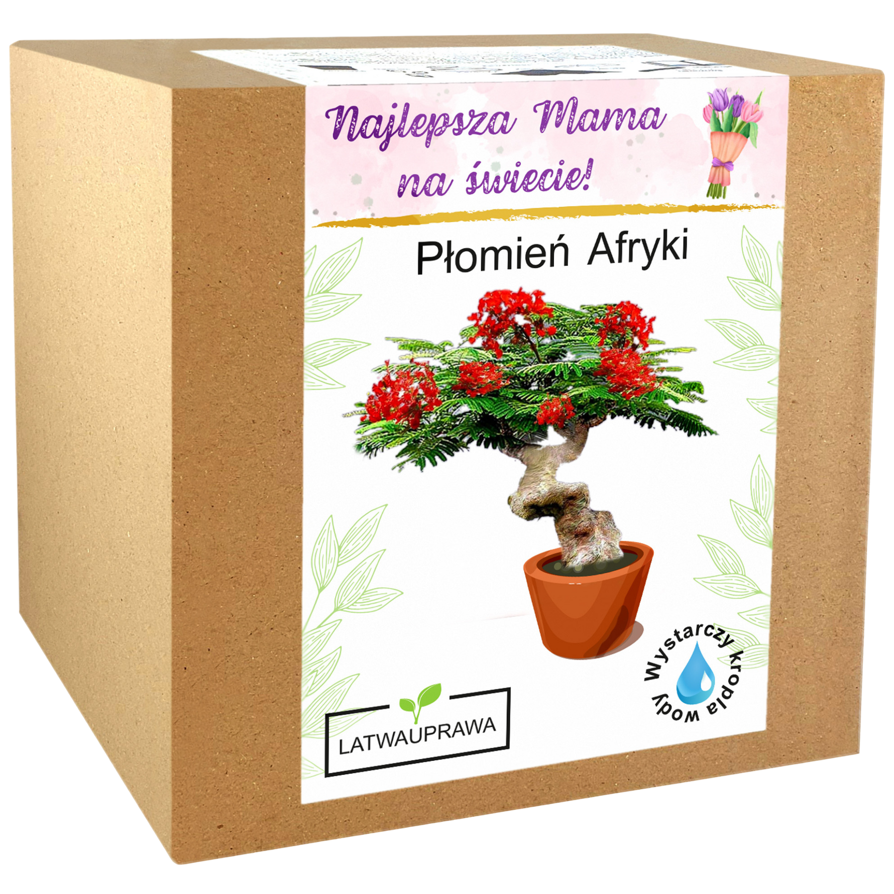 Zestaw do uprawy Płomień Afryki – prezent dla mamy z napisem „Najlepsza Mama na świecie”