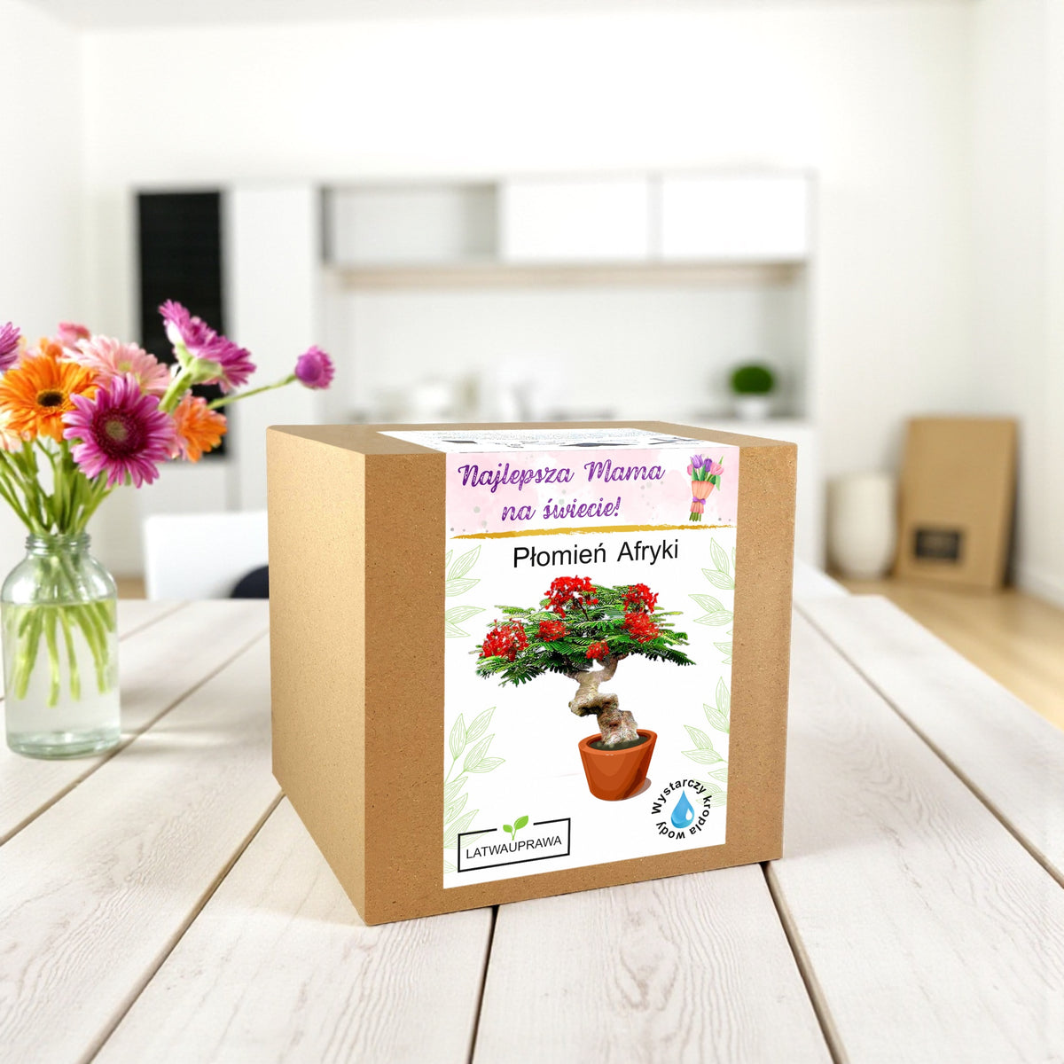 Pudełko z zestawem do uprawy drzewa Płomień Afryki, idealny prezent dla najlepszej mamy