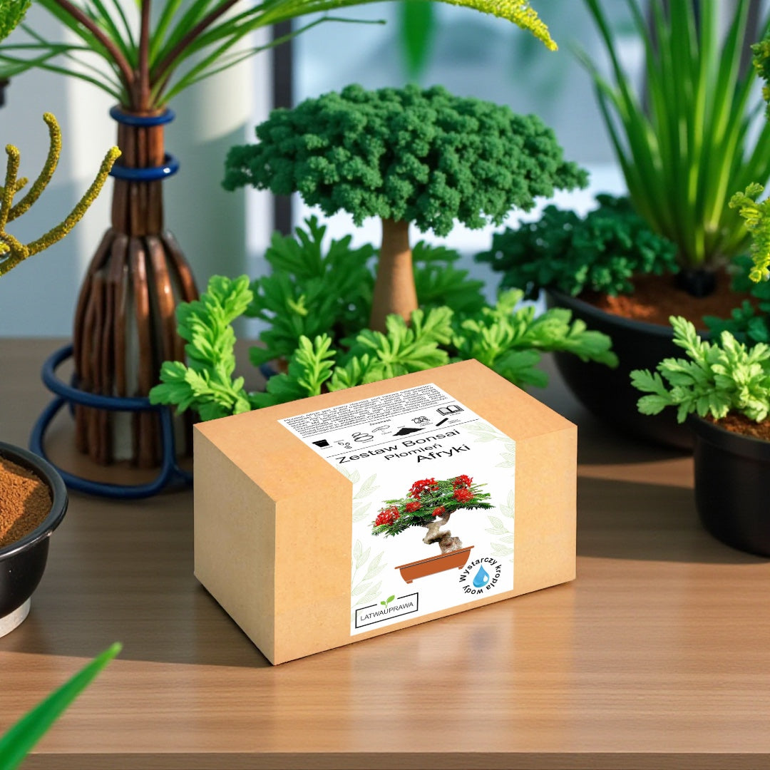 Zestaw Bonsai Płomień Afryki ustawiony na stole wśród zielonych roślin — komplet do samodzielnej uprawy miniaturowego drzewka o intensywnie czerwonych kwiatach