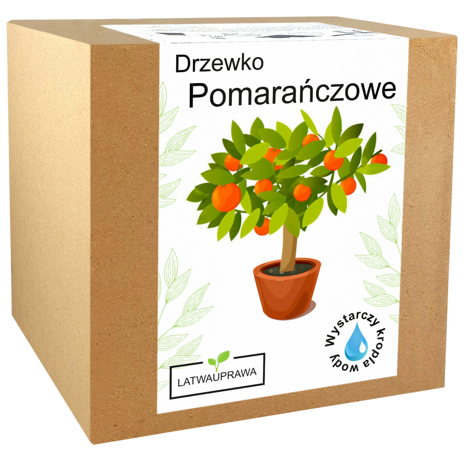 Pomarańcza