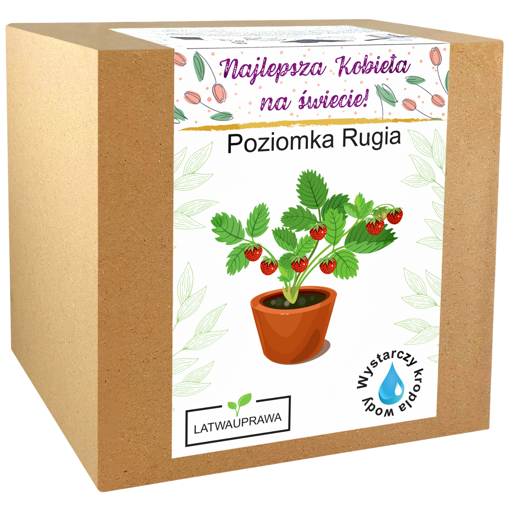 Pudełko z zestawem do uprawy poziomki Rugia – idealny prezent dla najlepszej kobiety.