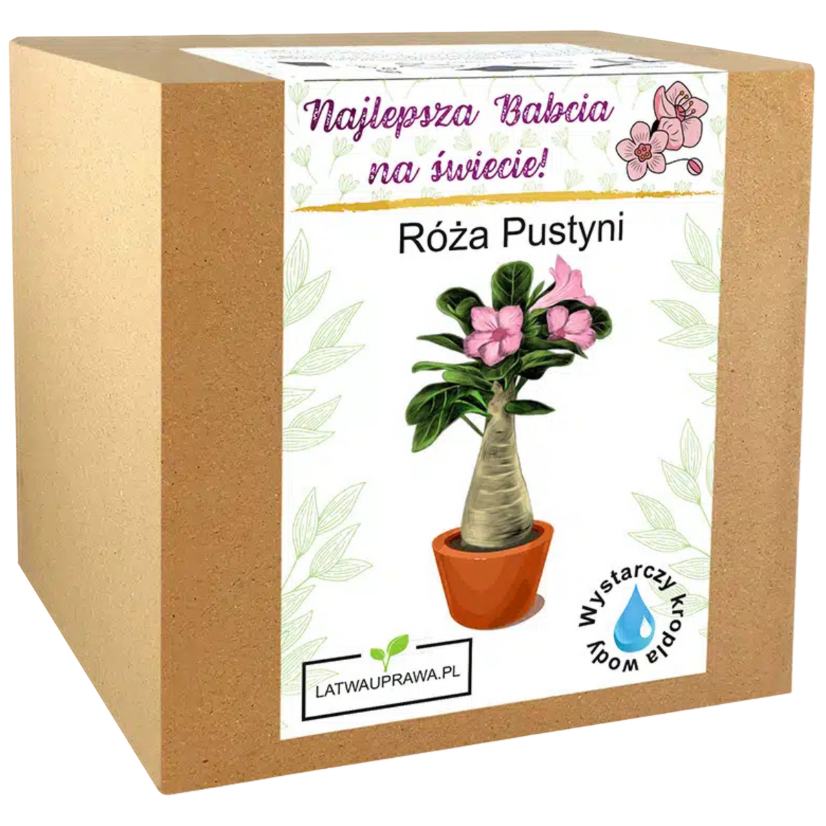 Zestaw do uprawy Róży Pustyni – wyjątkowy prezent dla najlepszej babci.