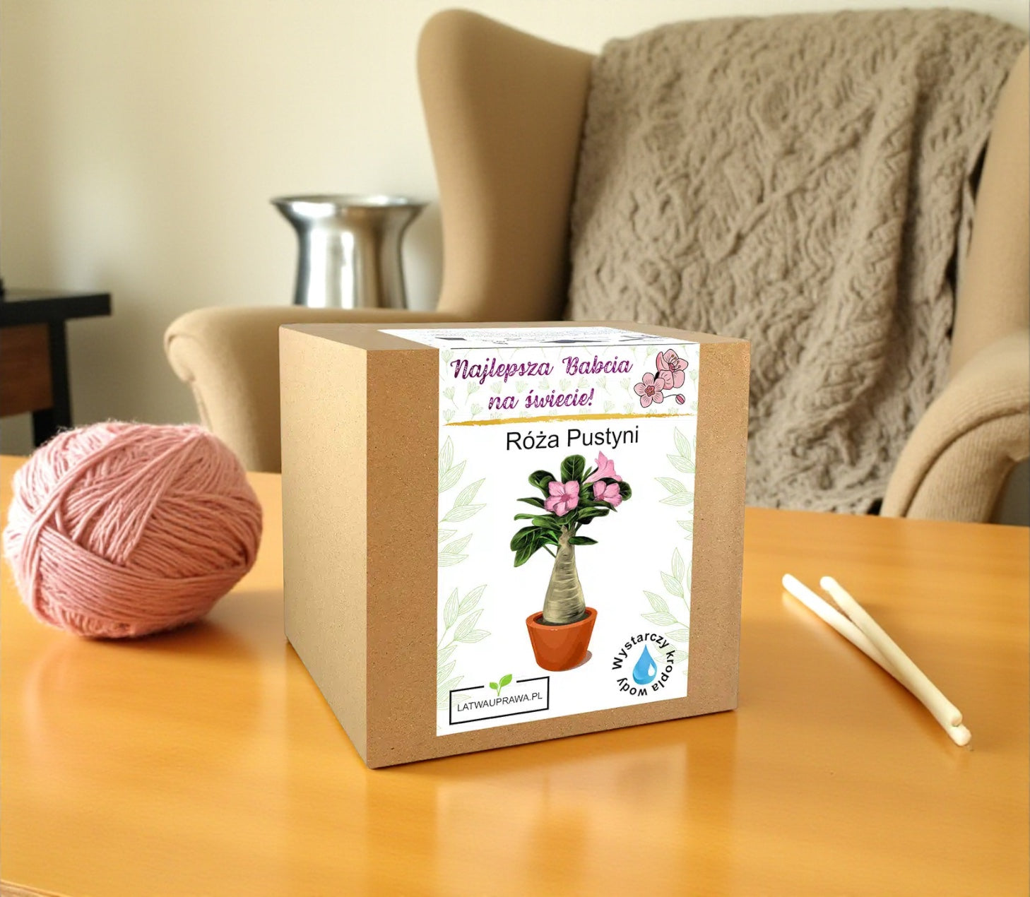 Zestaw do uprawy Róży Pustyni w pudełku prezentowym dla babci, idealny prezent dla miłośniczki kwiatów i roślin doniczkowych