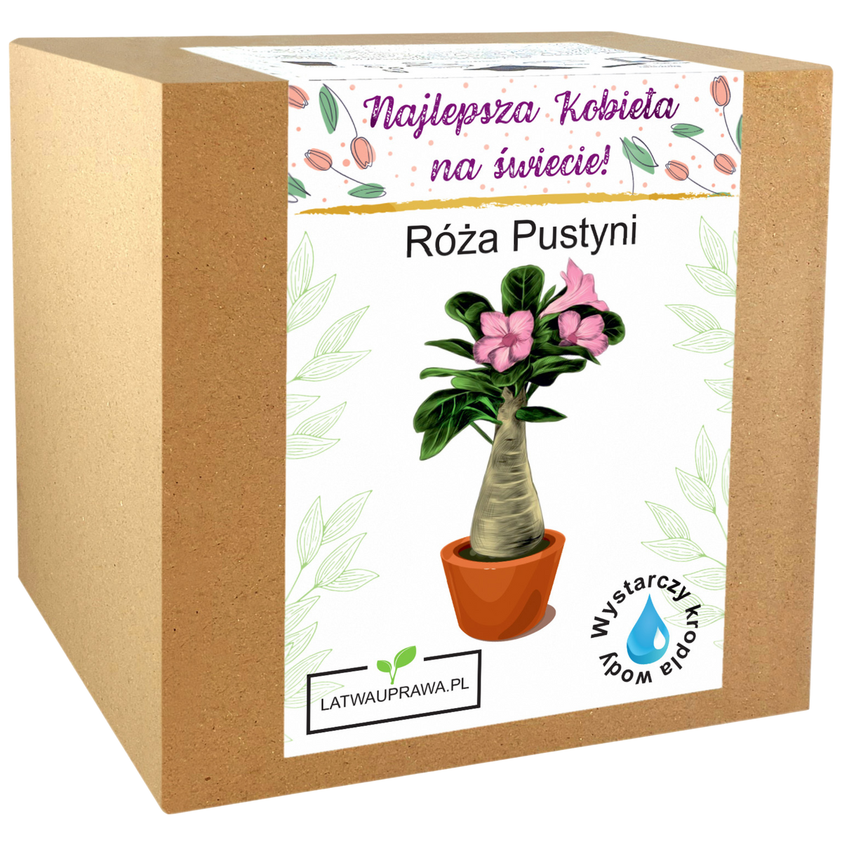 Zestaw do uprawy Róży Pustyni – idealny prezent dla kobiety z napisem „Najlepsza Kobieta na świecie”.