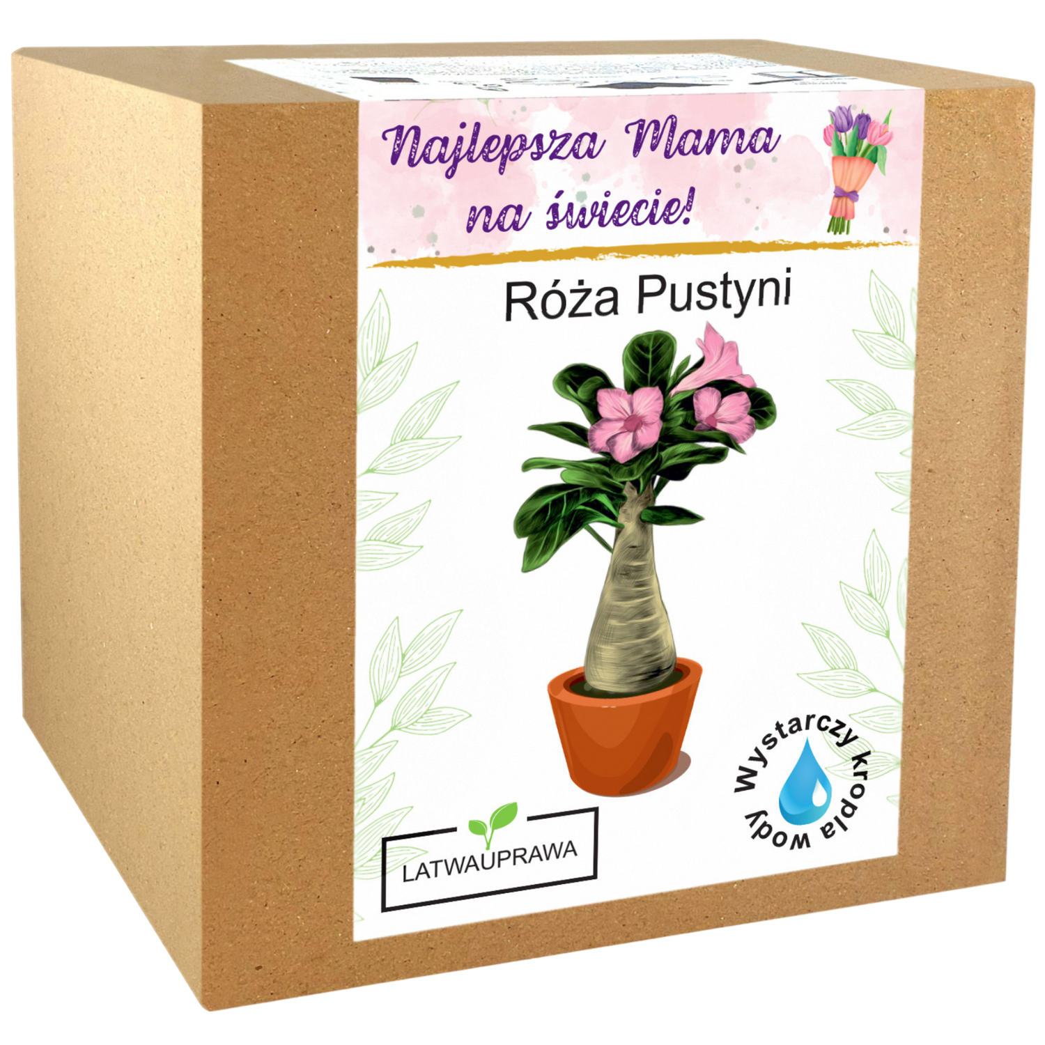 Zestaw do uprawy Róży Pustyni – elegancki prezent dla najlepszej mamy.