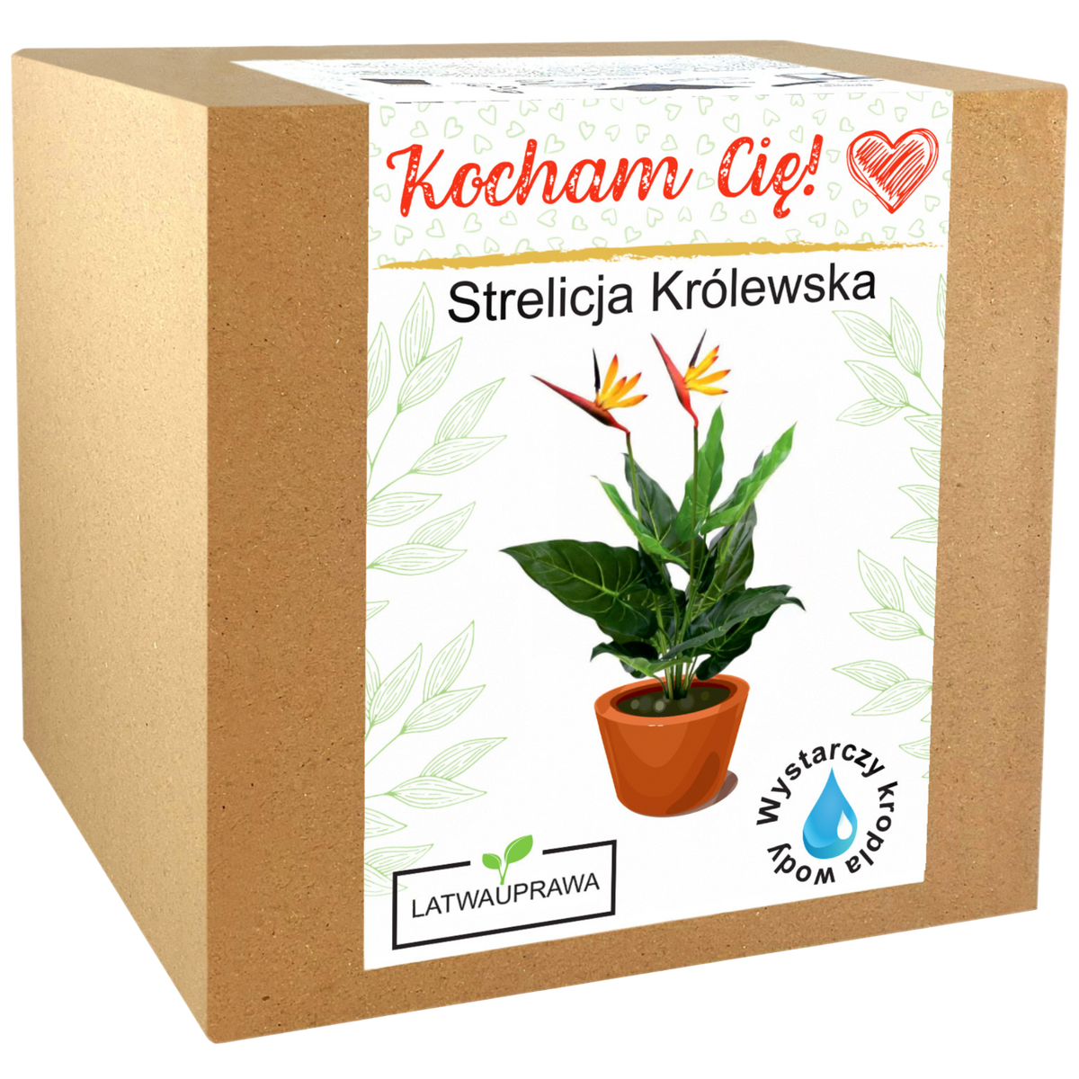 Zestaw do uprawy Strelicji Królewskiej – elegancki prezent z napisem „Kocham Cię”.