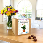 Zestaw do uprawy Strelicji Królewskiej – elegancki prezent dla kobiety z napisem „Najlepsza Kobieta na świecie”.