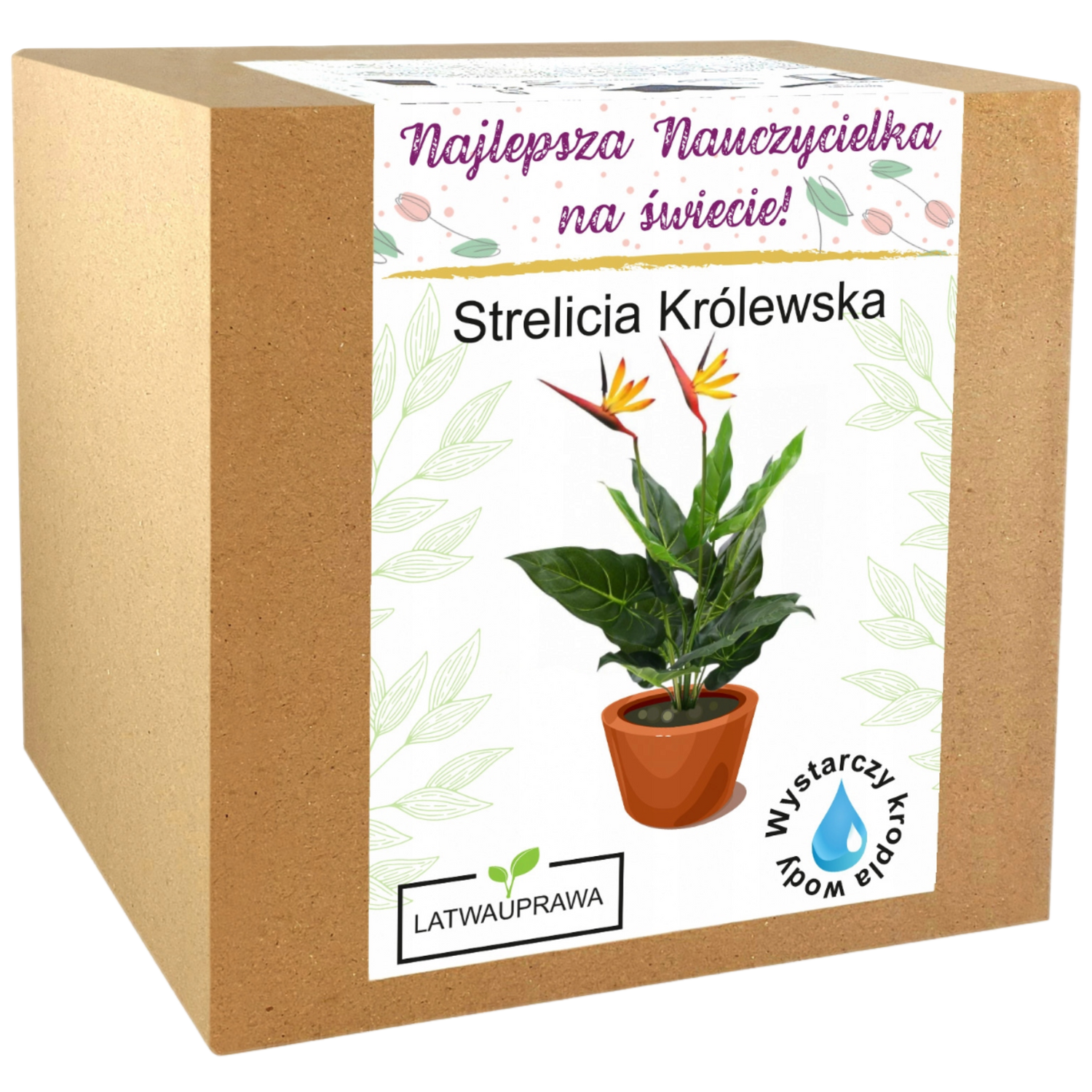 Zestaw do uprawy strelicji królewskiej – wyjątkowy prezent dla najlepszej nauczycielki.