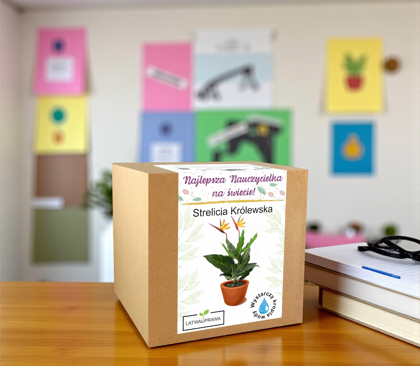 Zestaw do uprawy strelicji królewskiej w pudełku prezentowym dla nauczycielki, elegancki prezent na zakończenie roku szkolnego