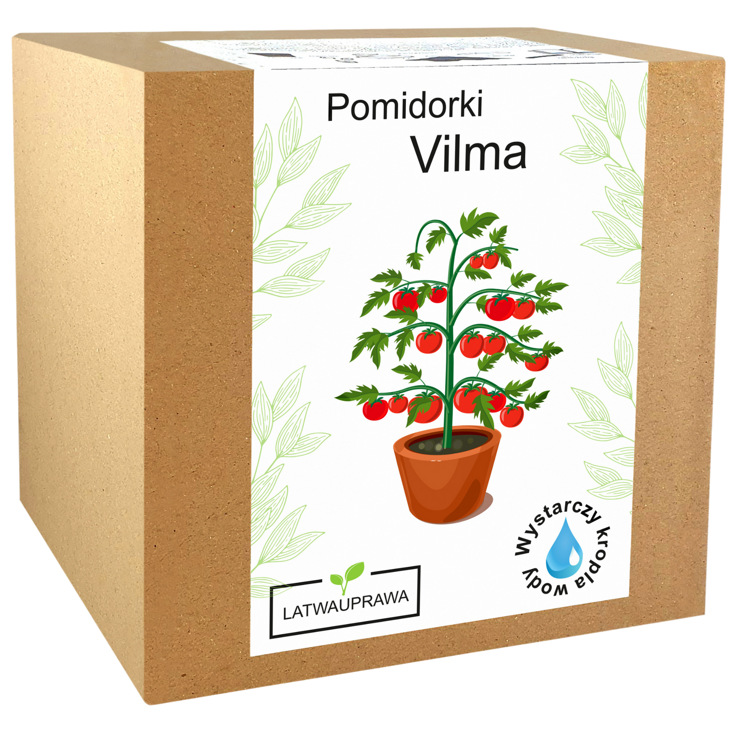 Pomidorki koktajlowe Vilma