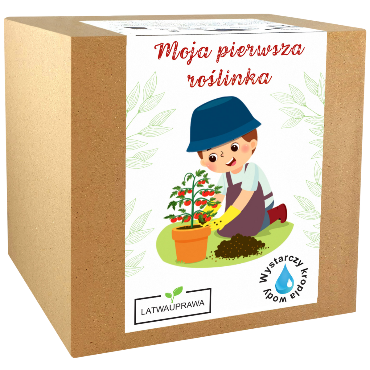 Zestaw do uprawy pomidorków koktajlowych Vilma dla dzieci „Moja pierwsza roślinka”.