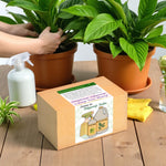 Zestaw do pielęgnacji roślin w pudełku z napisem „Wszystkiego najlepszego z okazji Dnia Mamy” – naturalne preparaty z olejkiem neem i mydłem potasowym obok roślin doniczkowych.