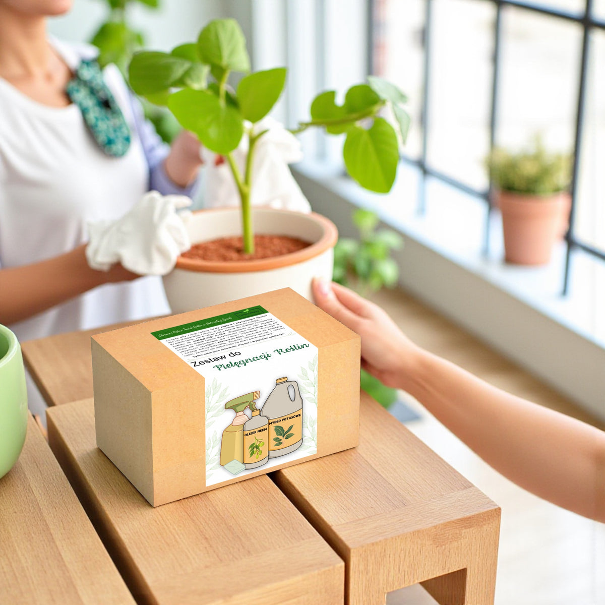 Zestaw do pielęgnacji roślin – pudełko z preparatami i akcesoriami do czyszczenia liści, idealny do domowych roślin doniczkowych.