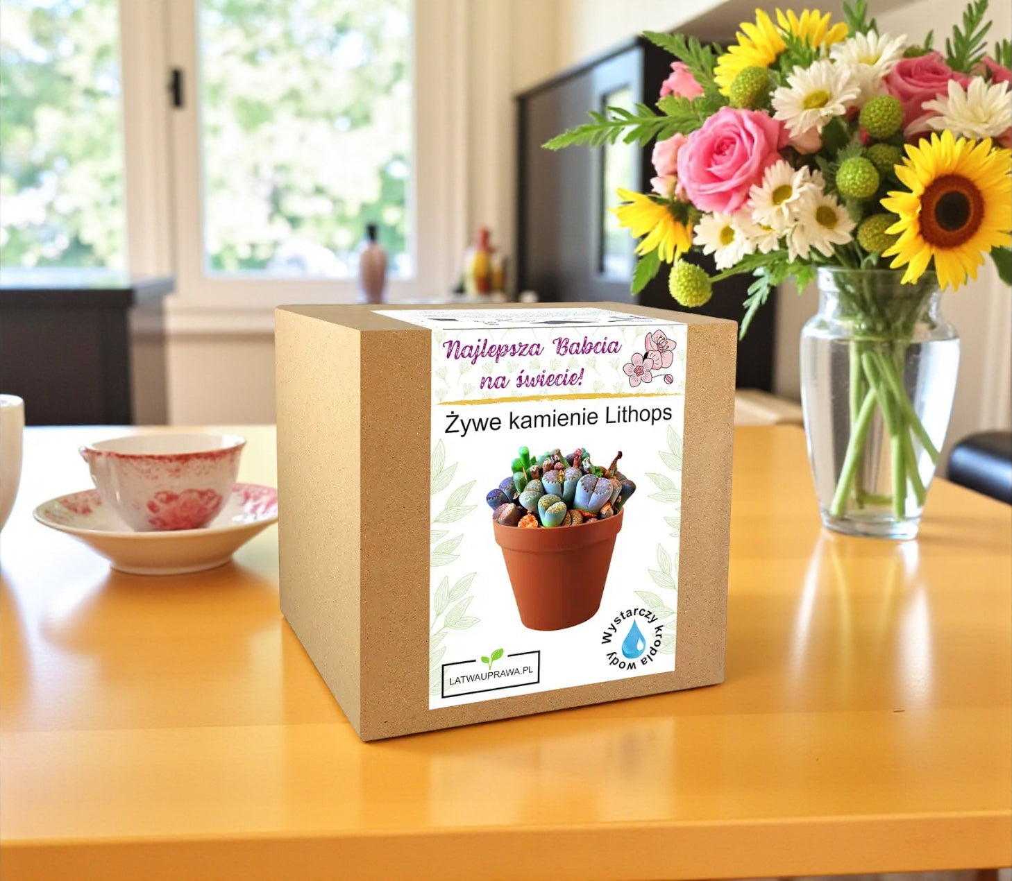 Zestaw do uprawy żywych kamieni Lithops w pudełku prezentowym dla babci, wyjątkowy prezent dla miłośniczki sukulentów i roślin doniczkowych